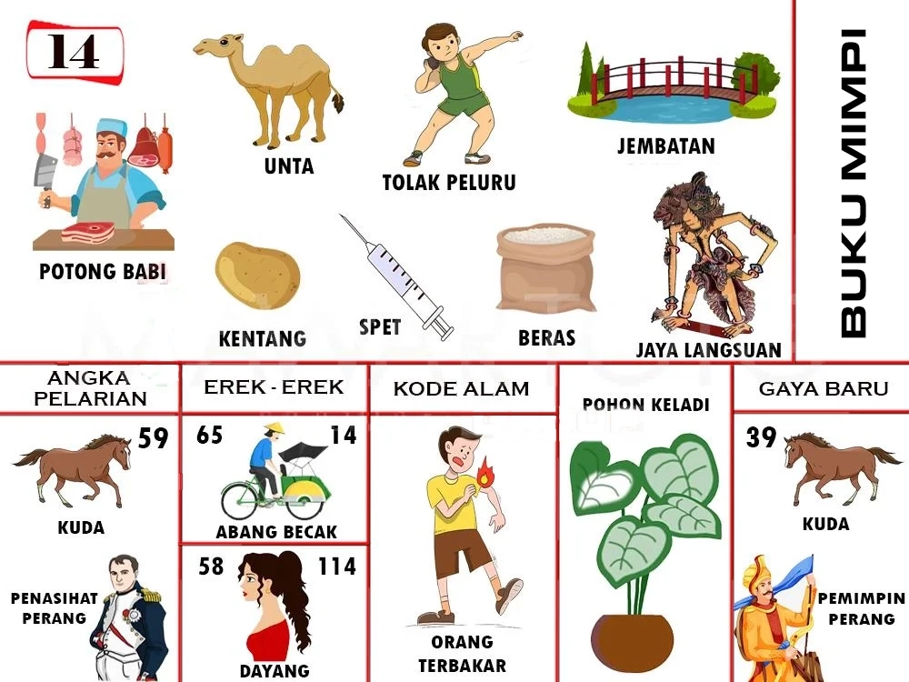 buku mimpi erek erek togel 14