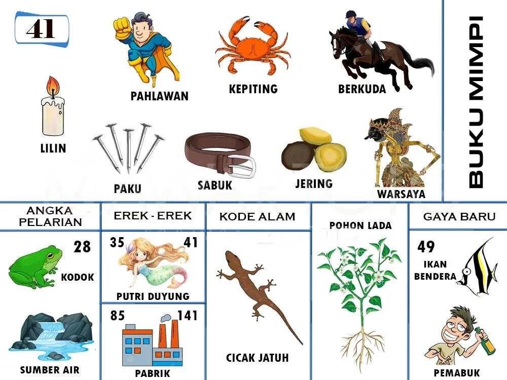 buku mimpi erek erek togel 41