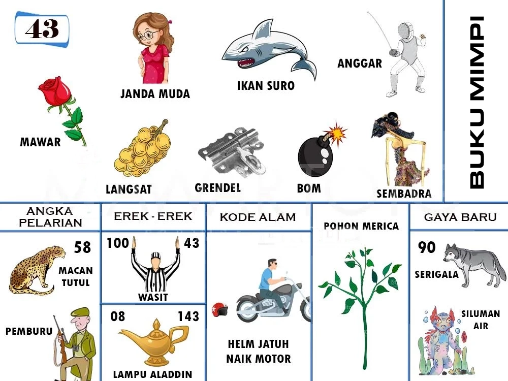 buku mimpi erek erek togel 43